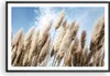 Gerahmtes Poster - Schwarzer Rahmen - Stock Himmel Boho - Produktbild-Vorschau 1