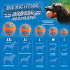 Chuckit, Jette! Fetch Dog Sports Ballwerfer, Produktbild-Vorschau 5