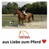 AMKA Stretch Sattelgurtschoner ELASTISCH-passt sich der Produktbild-Vorschau 3