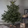 Baumständer im skandinavischen Design - Stamm 3-11cm - Baumhöhe bis 220cm - 1L Wassertank Produktbild-Vorschau