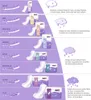 A chart illustrating different types of incontinence pads with varying absorbency levels and their recommended uses, accompanied by product packaging and descriptive text. Podgląd zdjęcia produktu
