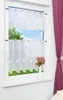 Scheibengardine Plauener Spitze Magnolie  (Bx H) 64cm * Produktbild-Vorschau 4