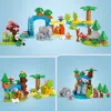 LEGO DUPLO Town Rodziny Dzikich Zwierzt 3 w 1, Edukacyjna Podgląd zdjęcia produktu 4