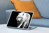 MuchoWow® Laptop Aufkleber Sticker Cover Wolf - Tier - Produktbild-Vorschau 4