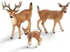 schleich WILD LIFE 14710, 3 rok / roky, Viacfarebný, Plast, Náhľad obrázku produktu 12