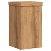 Stojany na rostliny 2 ks dub artisan 10 x 10 x 18 cm Náhled obrázku produktu 5