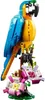 Stavebnica LEGO Creator 31136 Exotický papagáj (253 Náhľad obrázku produktu 36