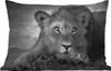 MuchoWow® Outdoor Kissen - Wildtiere - Löwe - Natur - Produktbild-Vorschau 1