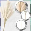 Lot de 10 décorations artificielles en herbe de pampa Voir les images du produit 4