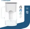 A water filter pitcher with multiple color options shown as small circular images next to it, and branding and features highlighted. Produktbild-Vorschau