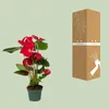 Anthurium Red - Ø17cm - ↕55cm - Ø12cm - ↕40cm Produktbild-Vorschau 3