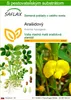 SAFLAX - Arašidový - Arachis hypogaea - 8 Semená - S Náhľad obrázku produktu 1