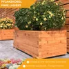 Pflanzkübel Kiefer - Pinie Lasiert 100 x 40 cm Blumenkasten Produktbild-Vorschau 2