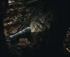 A silver flashlight is resting on a tree trunk in a forest setting, with its beam illuminating the bark. Produktbild-Vorschau