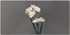 Coloray Bild aus Leinwand 120x60 Leinwand Dekoration - Produktbild-Vorschau 1