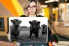 MuchoWow® Laptop Aufkleber Sticker Cover Schottische Produktbild-Vorschau 5