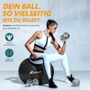 TRESKO Gymnastikball (Schwarz,65cm) mit Pumpe Fitnessball Produktbild-Vorschau 6