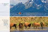 Moon Montana & Wyoming Produktbild-Vorschau 4