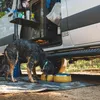Ruffwear Hundenapf Basecamp Bowl Catttail Tan Anteprima dell’immagine prodotto 4