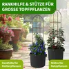 TTL GARDEN Rankhilfe Obelisk L 165x40cm braun – Rankgitter Produktbild-Vorschau 7
