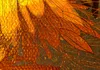 Akusticher Raumteiler sonnenblumen Foto Paravent 225x172 cm Produktbild-Vorschau 7