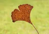 Rost Gartenstecker Ginkgo 58,5 cm Edelrost Gartendeko Produktbild-Vorschau 2