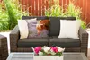MuchoWow® Outdoor Kissen - Schottisches Hochlandrind - Produktbild-Vorschau 5