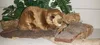 A plush beaver toy is displayed on a piece of bark, surrounded by natural elements like straw and leaves. Náhled obrázku produktu