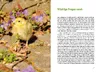 Wachteln im Garten Produktbild-Vorschau 4