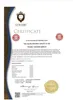 Painless Night GLU Schmerzpflaster mit Rotem Ginseng, 25 Produktbild-Vorschau 3