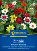 Kiepenkerl Zinniensamen Profusion 20 Pflanzen Produktbild-Vorschau 3
