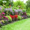 XMTECH Teichzaun Gartenzaun Metall Steckzaun Hundezaun mit Produktbild-Vorschau 12