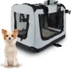 A small dog sits in front of a pet carrier.