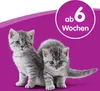 WHISKAS® Katzenmilch 15 x 200ml Produktbild-Vorschau 4