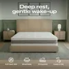 The White Stone Orthopedic Memory Mattress H20 cm | Zoned | Anteprima dell’immagine prodotto 3