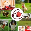 Wurfball Hund, 3 Stück Elastische Hundespielzeug Ball mit Produktbild-Vorschau 3