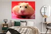 MuchoWow® Poster Nahaufnahme Hamster 160x120 cm - Foto Produktbild-Vorschau 4