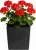 HowHomely | Vasi da fiori - Vasi per piante - neri - Set da Anteprima dell’immagine prodotto 7