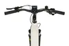 PROPHETE ENTDECKER 3.9 Herren Trekking E-Bike 28" Limited| Produktbild-Vorschau 4