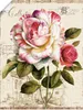 ARTland Poster Garten Blick III Größe: 30x40 cm Produktbild-Vorschau 1