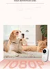 A dog and a cat are lying on a rug, with a small white camera in the foreground. Anteprima dell’immagine prodotto