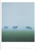 Quint Buchholz: Augenblicke Kalender 2027 Produktbild-Vorschau 4