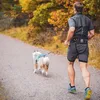 Non-stop dogwear Laufgurt Trekking Belt 2.0 schwarz/grau, Produktbild-Vorschau 5