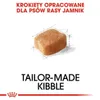 Klein Royal Canin Dachshund Adulto Pollo Arroz Aves 1,5 Kg Produktbild-Vorschau 10