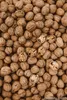 Walnüsse in der Schale (Chile): 1000g Größe: 1000g Produktbild-Vorschau 2