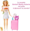 Barbie Dreamhouse Adventures HJY18, Lalka modowa, Damski, 3 Podgląd zdjęcia produktu 13