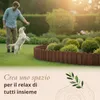 Floranica Bordura per Giardino in legno 10 x 200 cm Marrone Anteprima dell’immagine prodotto 6
