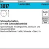 DIN 3017 Schlauchschellen, mit Schneckenantrieb A 16- 27/ 9 Produktbild-Vorschau 3
