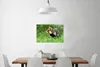 MuchoWow® Poster Hamster läuft vorsichtig durch ein Produktbild-Vorschau 2