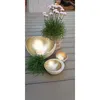 Decorative bowls and a potted plant on a wooden table. Produktbild-Vorschau